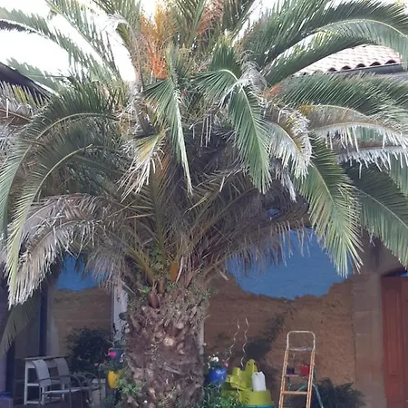 Familiale Avec Piscine Chauffee Et Jacuzzi Bed & Breakfast Bernadets-Debat