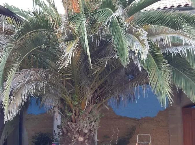 Familiale Avec Piscine Chauffee Et Jacuzzi Bed & Breakfast Bernadets-Debat